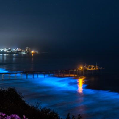 Scripps Pier with Red Tide Bioluminescence
