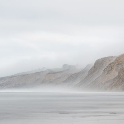 Torrey Pines on a Foggy Morning